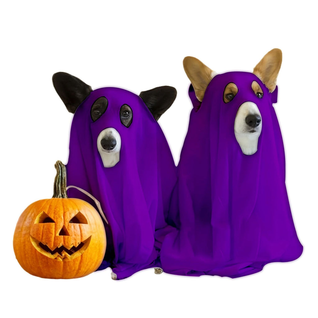 Halloween Ghost Pet Costume