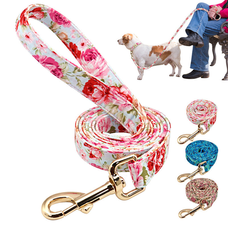 Nylon Dog Walking Leash