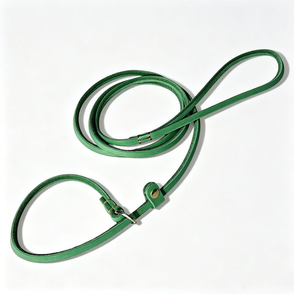 Genuine Leather Braided Cowhide Dog Leash