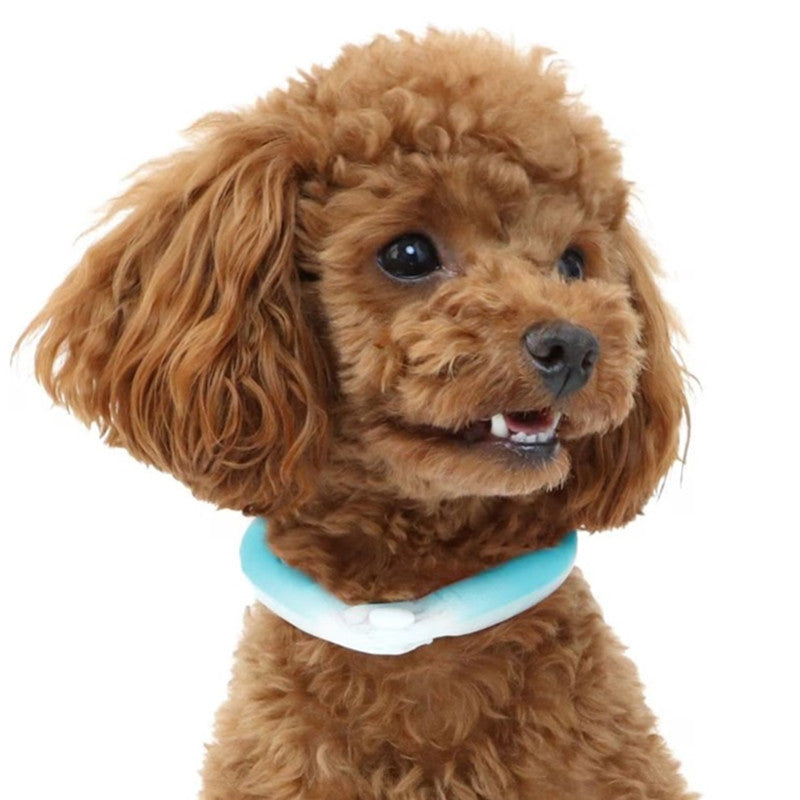 Pet Cooling Halter Bio-Based Phase Change Material