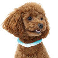 Pet Cooling Halter Bio-Based Phase Change Material
