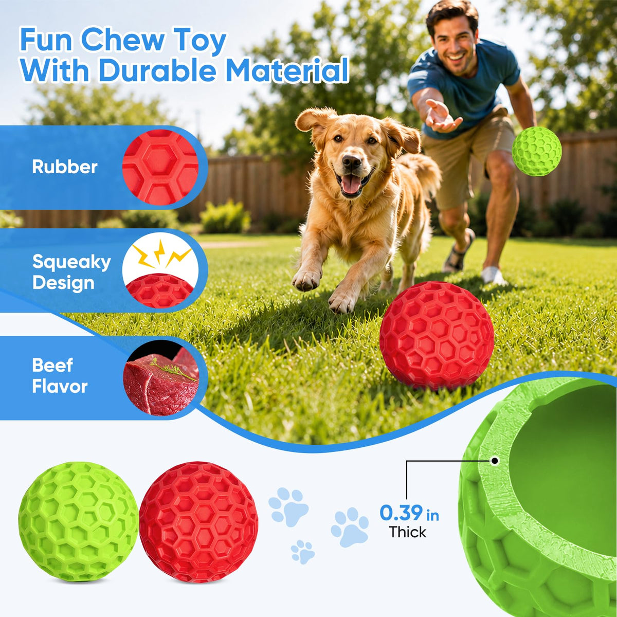 Squeaky Rubber Dog Balls 2-Pack