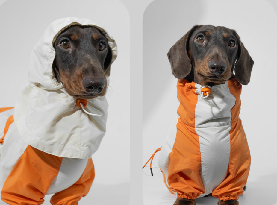 Winter Color Matching Pet Clothes