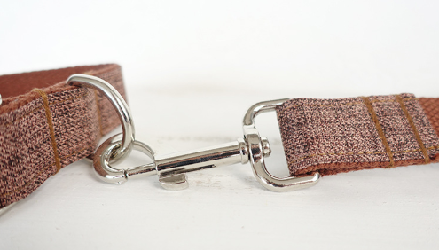 Traction Collar