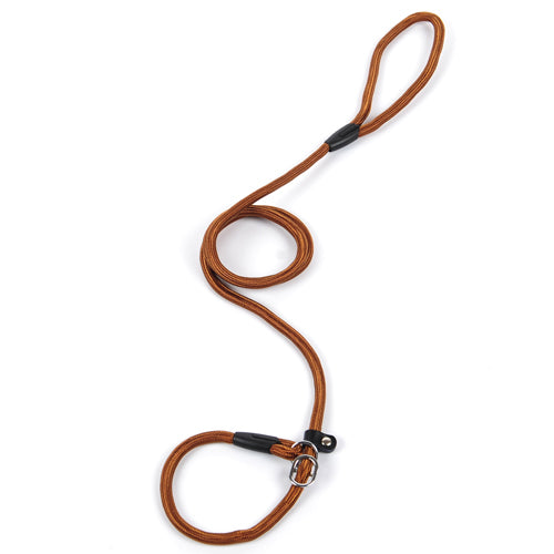 Nylon Dog Leash