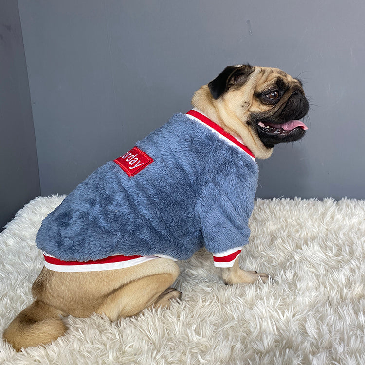 Cotton Casual Dog Sweater