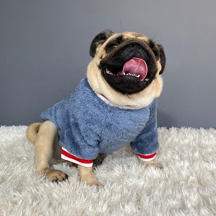 Cotton Casual Dog Sweater