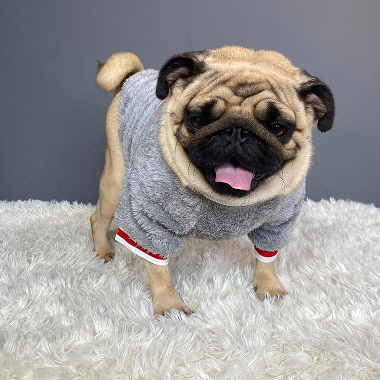Cotton Casual Dog Sweater