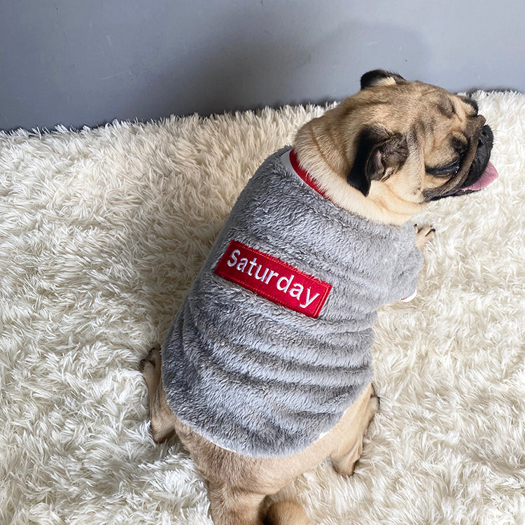 Cotton Casual Dog Sweater