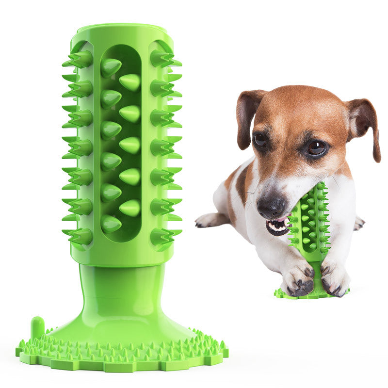 Dog Molar Cleaning Chew Toy