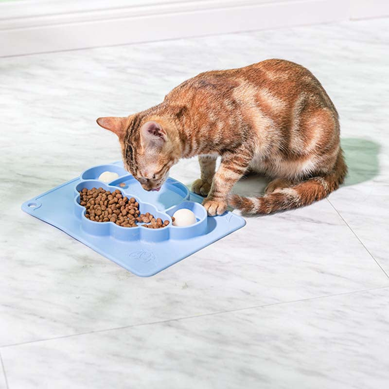 Cute Silicone Sucker Licking Pad Pet Bowl