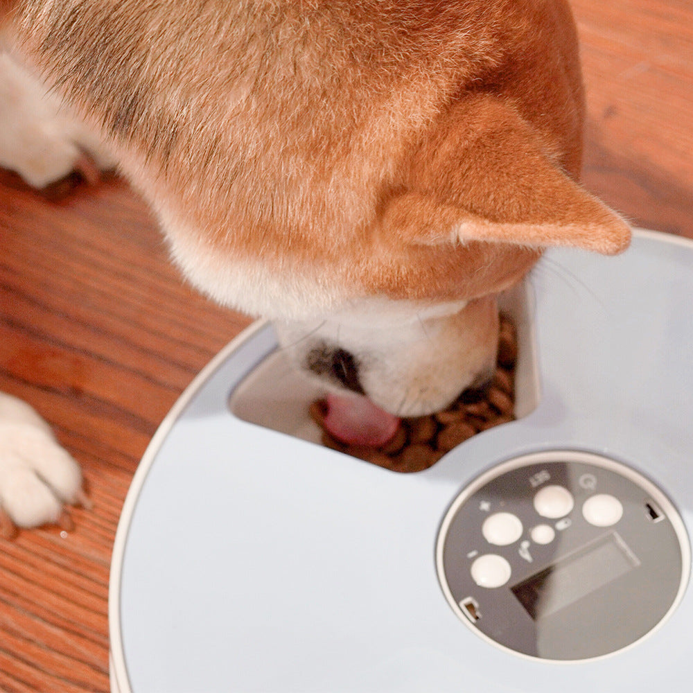 Automatic Round Timing Pet Feeder