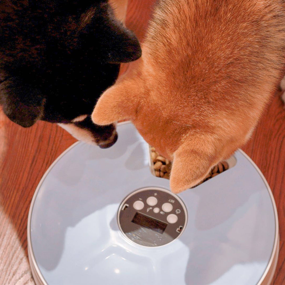 Automatic Round Timing Pet Feeder
