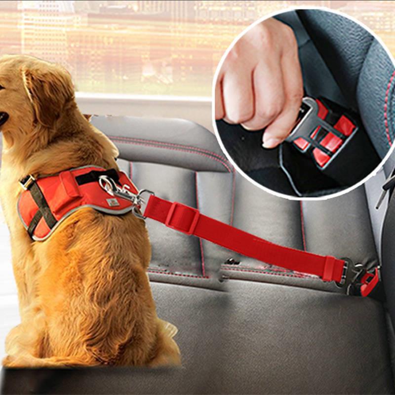 Dog Car Traction Belt