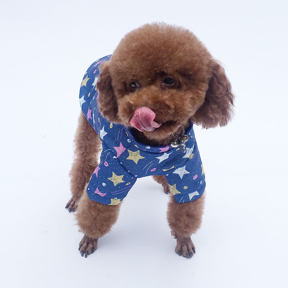 Baby'S Breath Plus Fleece Sweater Teddy Pet Clothes