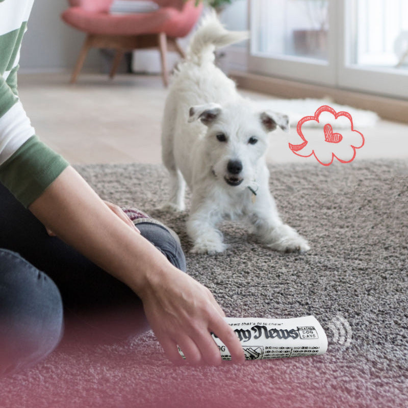 Squeaky Newspaper Dog Chew Toy