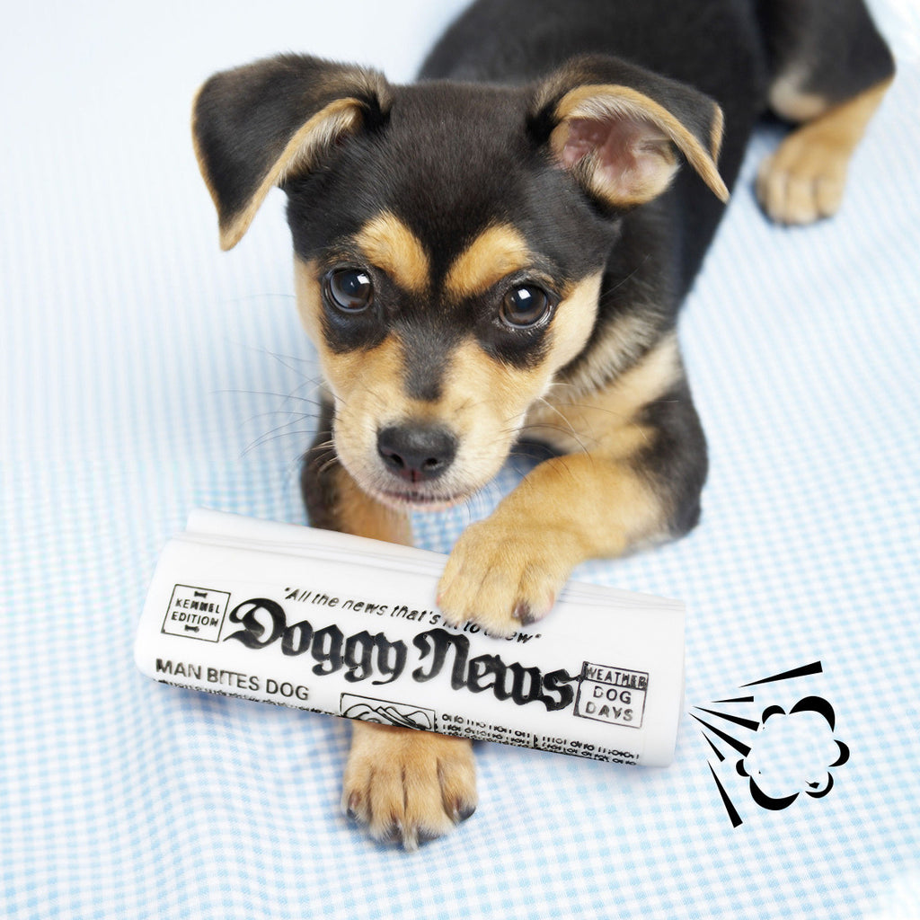 Squeaky Newspaper Dog Chew Toy