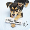 Squeaky Newspaper Dog Chew Toy