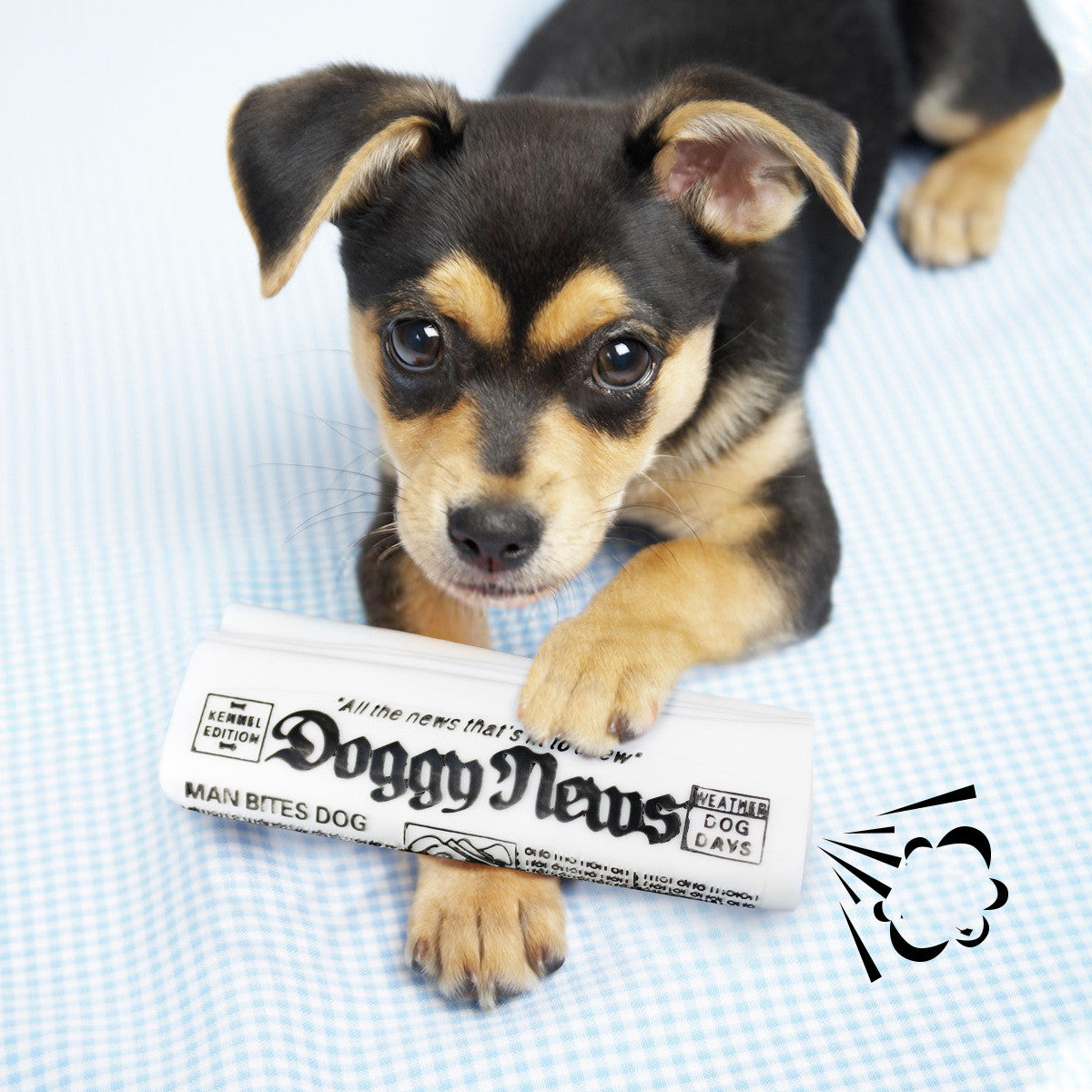 Squeaky Newspaper Dog Chew Toy