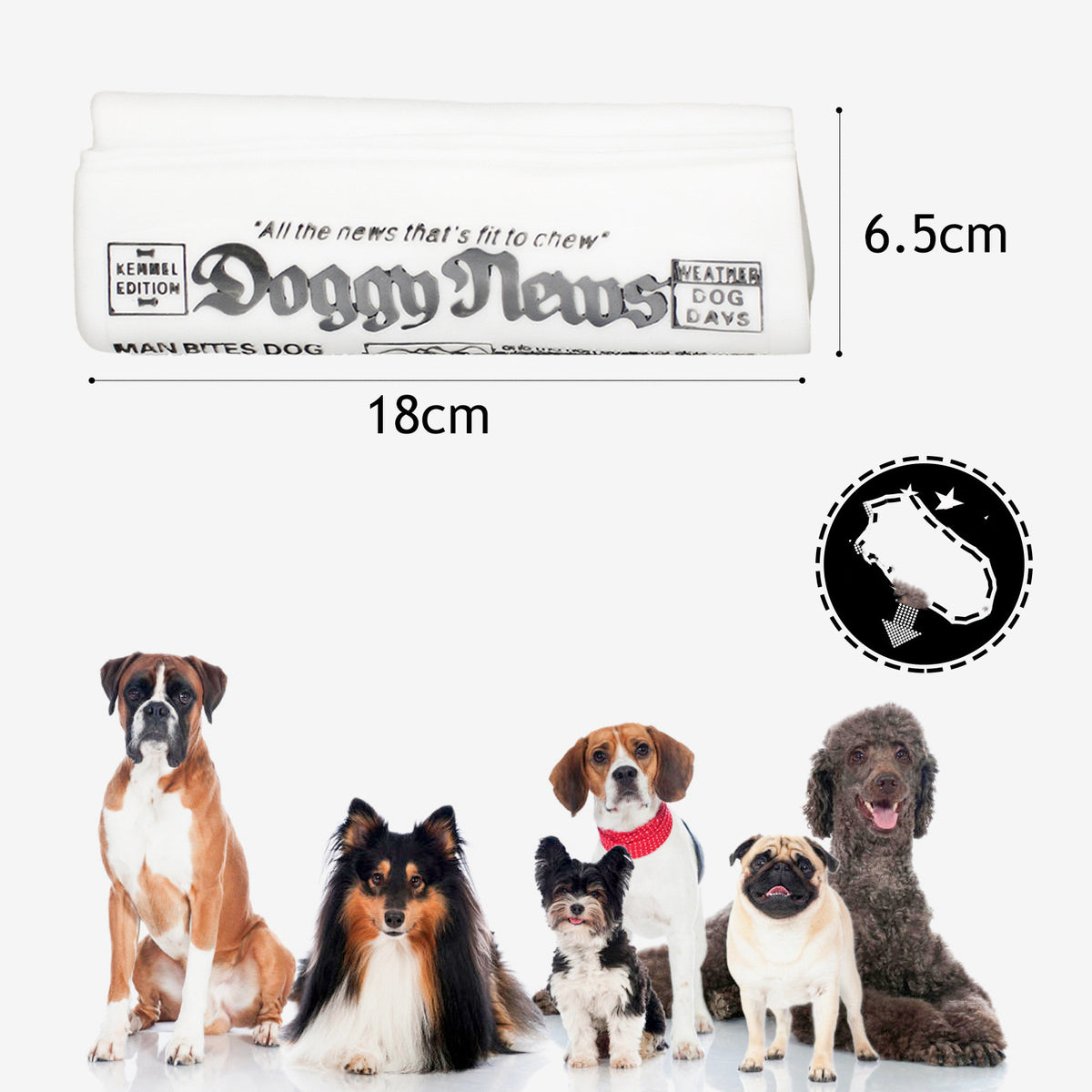 Squeaky Newspaper Dog Chew Toy