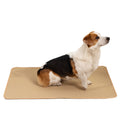Washable Waterproof Dog Training Pad