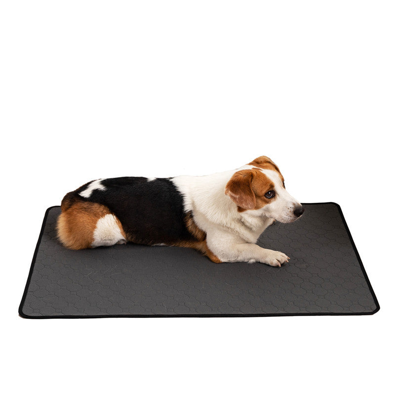 Washable Waterproof Dog Training Pad