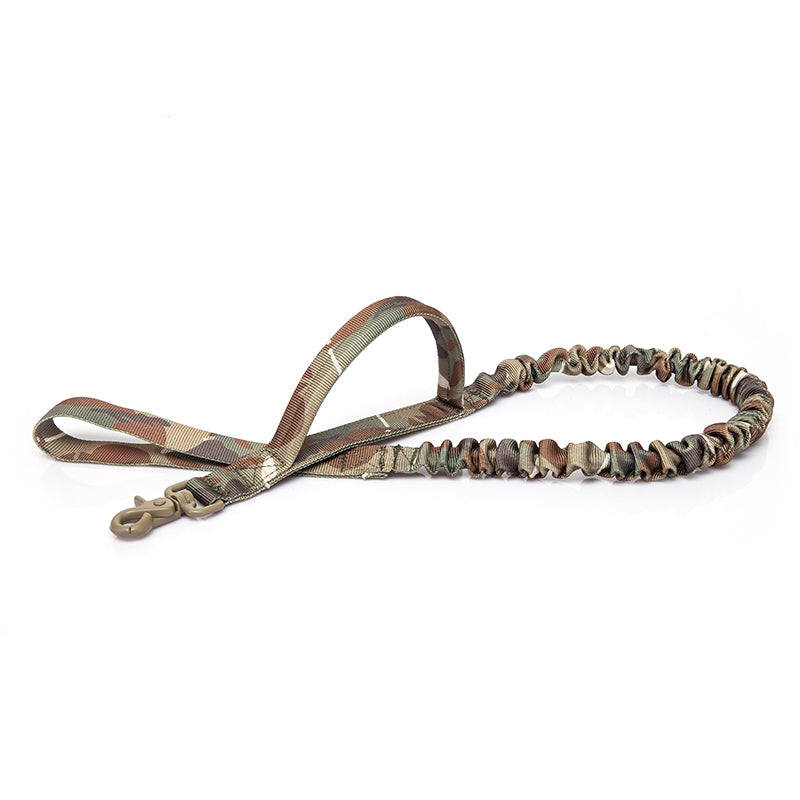 Elastic Dog Training Leash With Two Handles