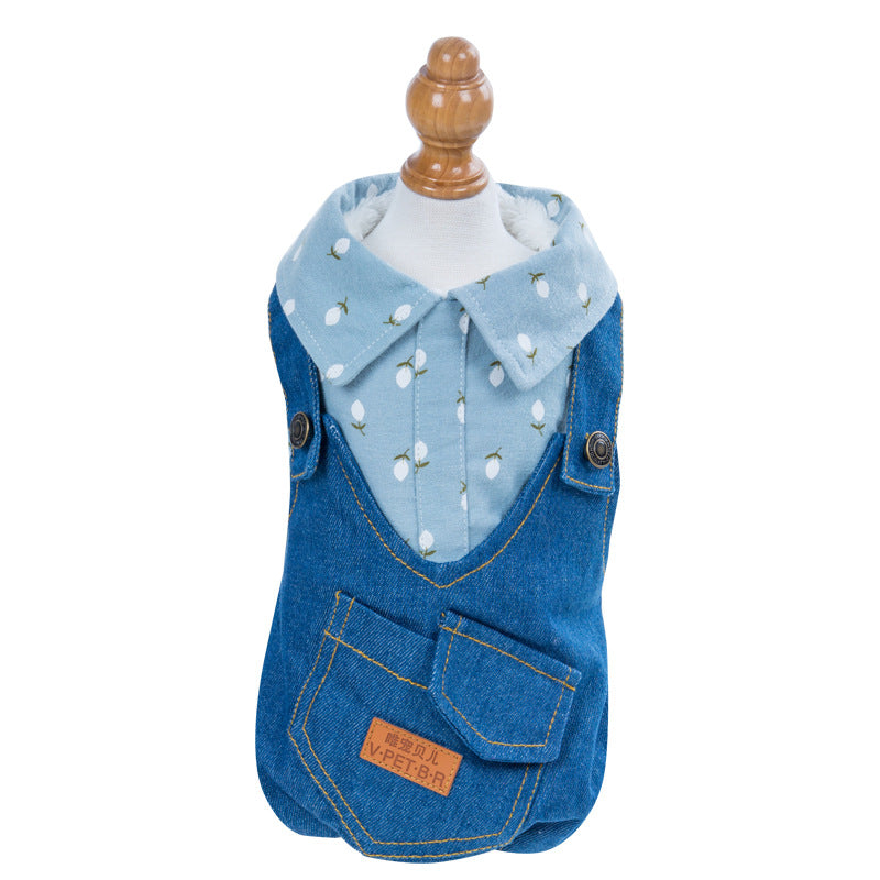 Four - Legged Clothes Handsome British Dog Padded Clothes