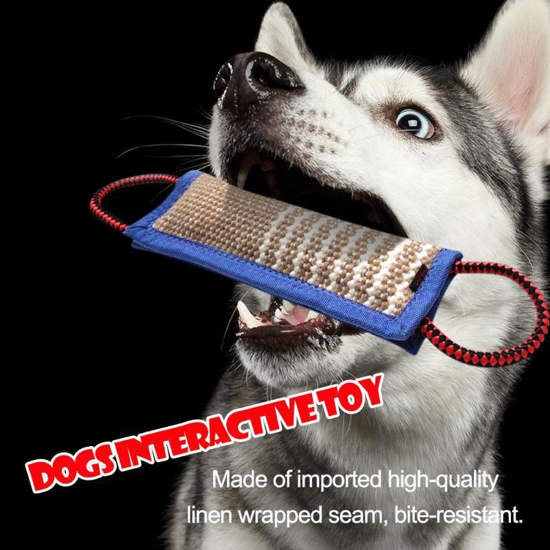Dog Training Blue Edge Bite Stick