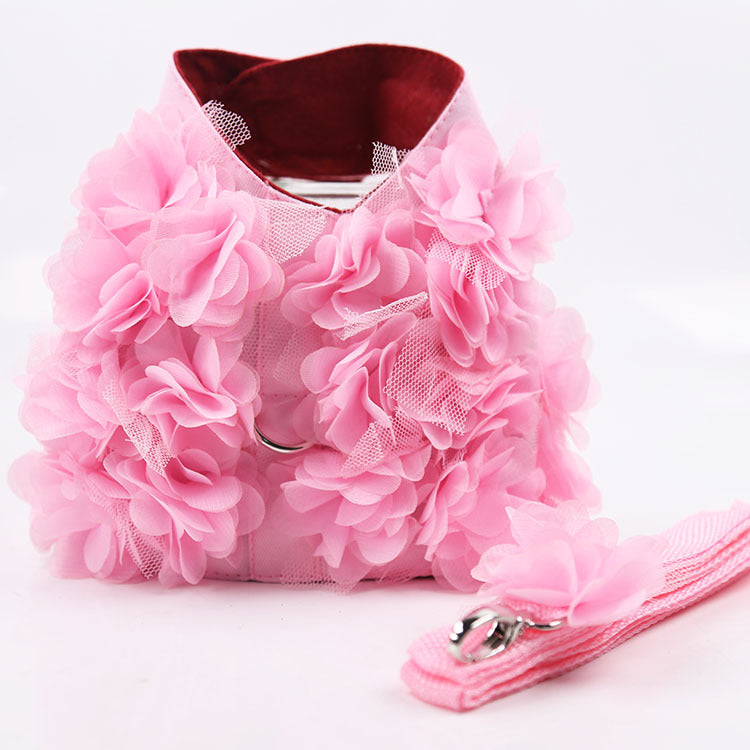 Three-Dimensional Flower Leash Dog