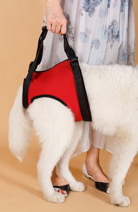 Elderly Dog Hind Leg Assist Belt