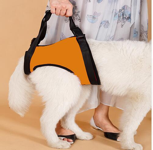 Elderly Dog Hind Leg Assist Belt