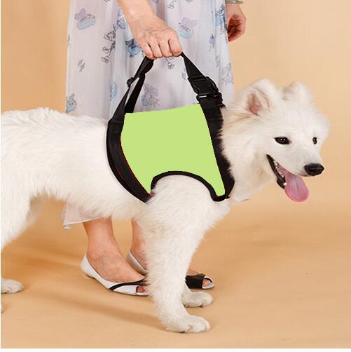 Elderly Dog Hind Leg Assist Belt