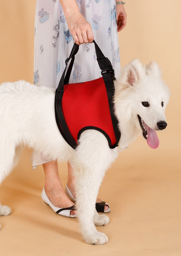 Elderly Dog Hind Leg Assist Belt