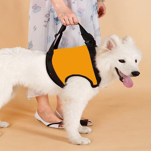 Elderly Dog Hind Leg Assist Belt