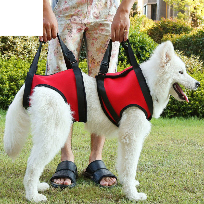 Elderly Dog Hind Leg Assist Belt
