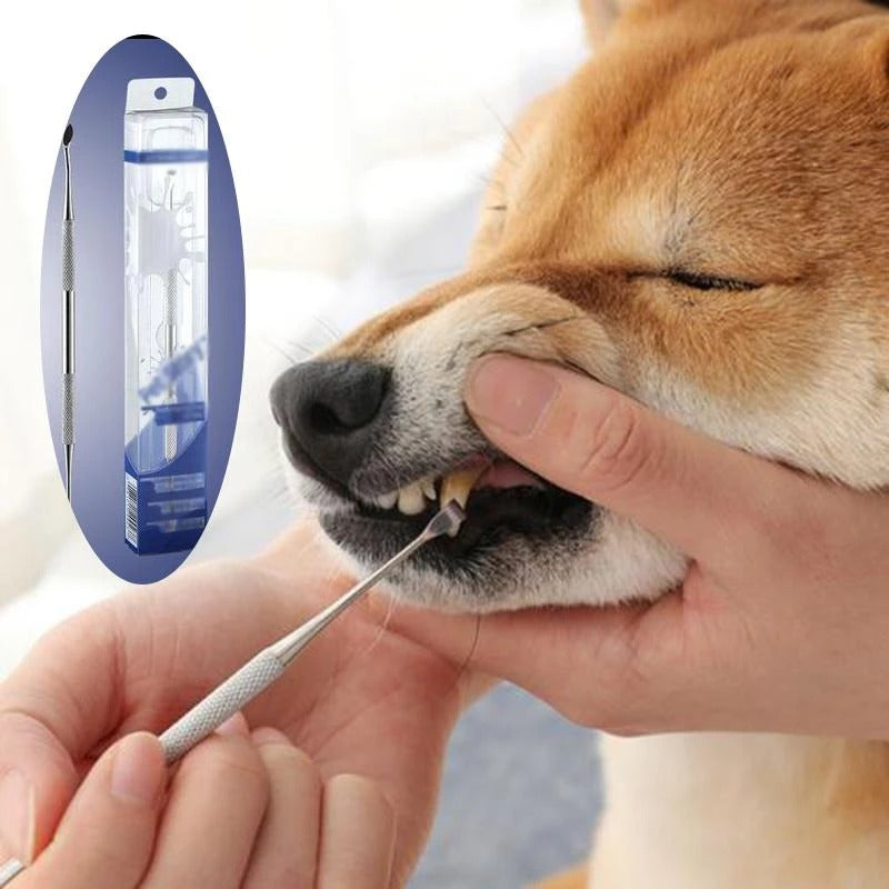 Stainless Steel Pet Teeth Cleaning Pen