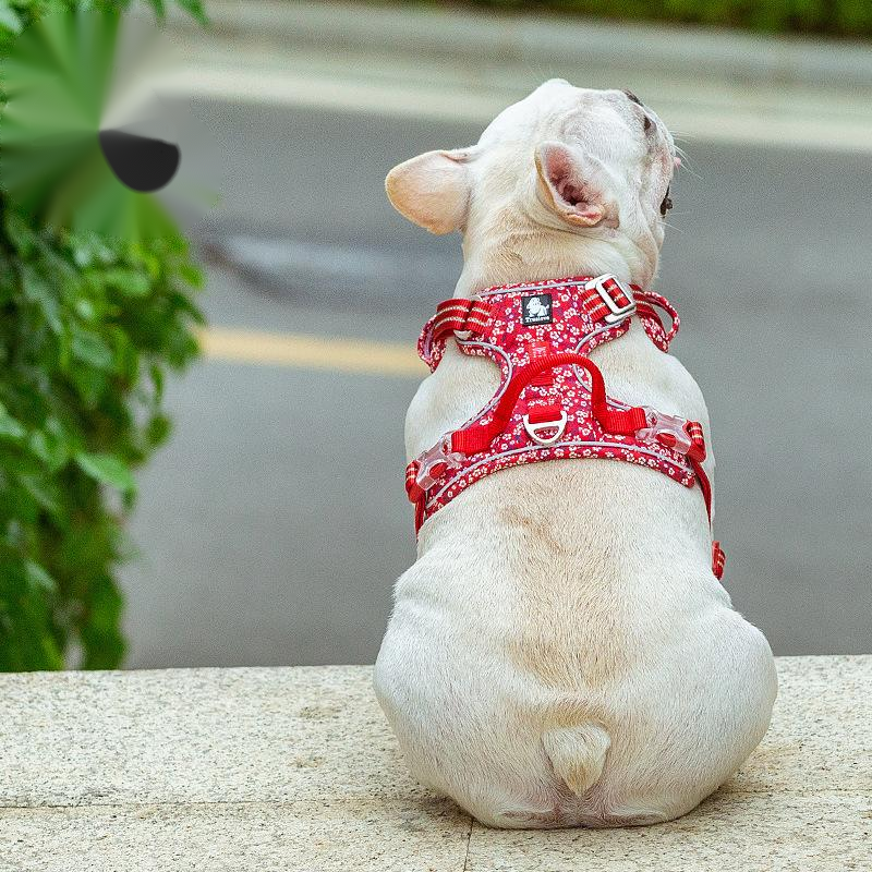 Pet Dog'S Chest Strap Floral Explosion-Proof Punching Traction