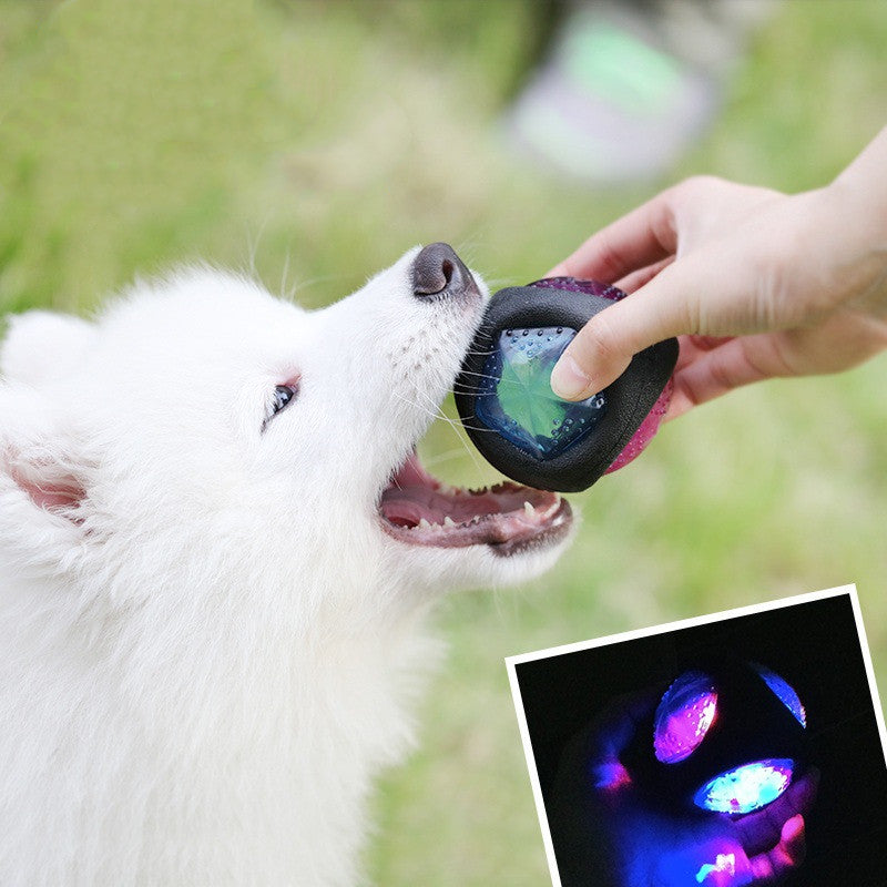 Dog Bite Resistant Sounding Ball Toy