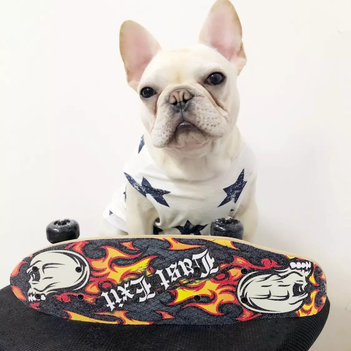 Cotton Dog Vest in Two Colors