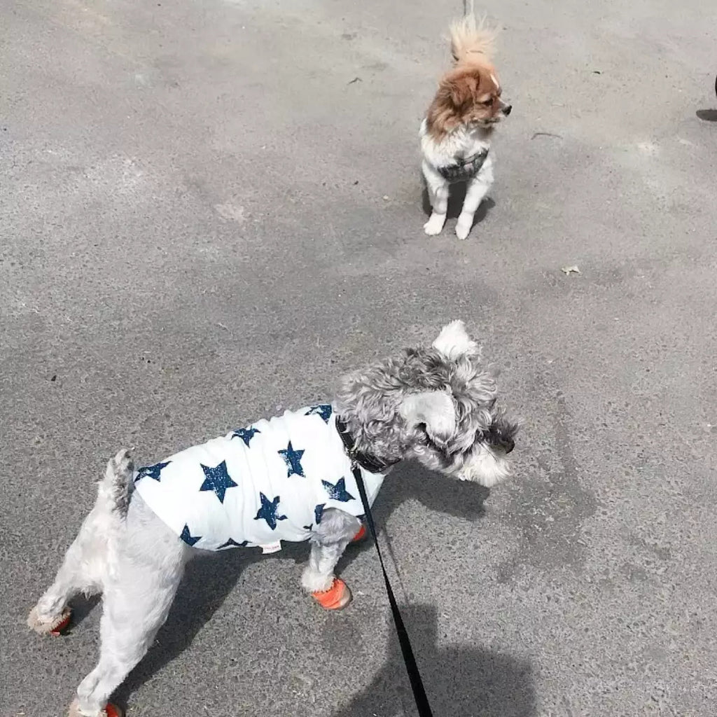 Cotton Dog Vest in Two Colors