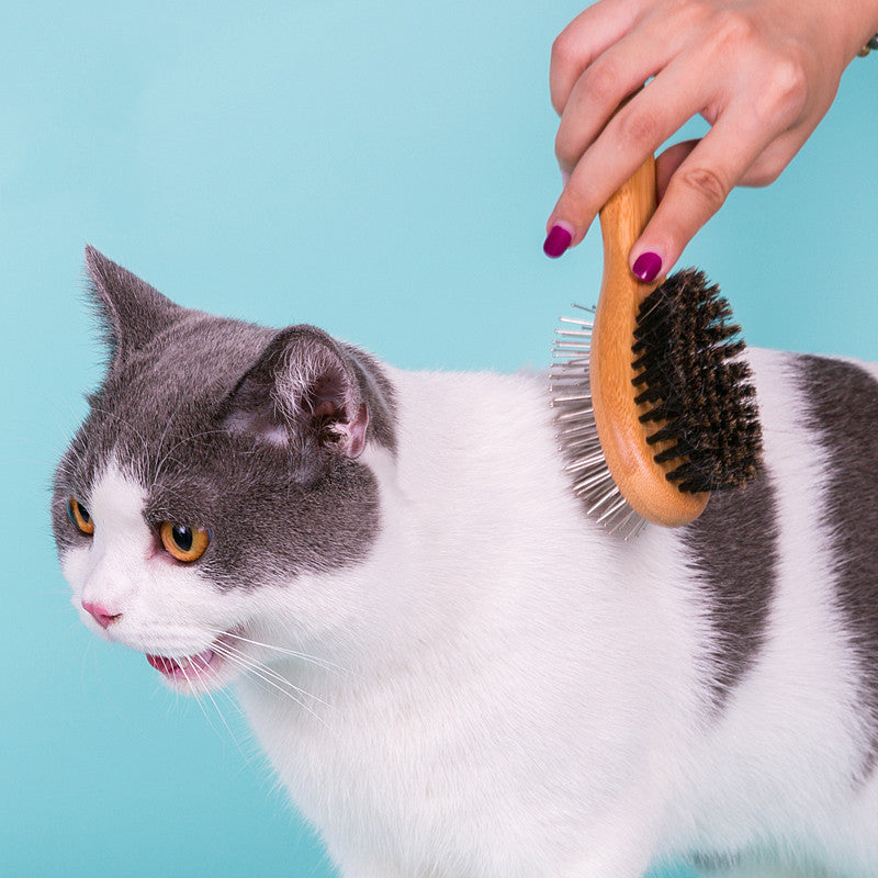 Double-Sided Pet Comb Brush