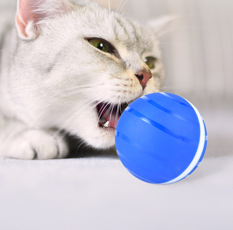 LED Rolling Flash Pet Toy Ball