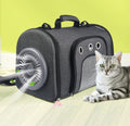 Pet Out Bag With Fan And Mesh Ventilation