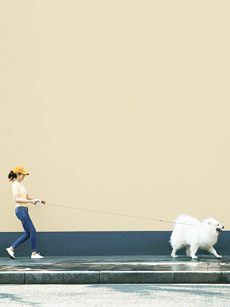 Meng Wangxing Ufo Retractable Leash Dog Small And Medium-Sized Dog Teddy Dog Leash Golden Retriever Dog Chain Pet Supplies