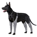 Doughton'S New Doggie Outdoor Four-Legged Pants