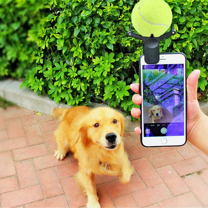 Pet Photo Props Toy Pet Photo Selfie Artifact Funny Dog Camera Phone Clip Tennis Selfie Clip