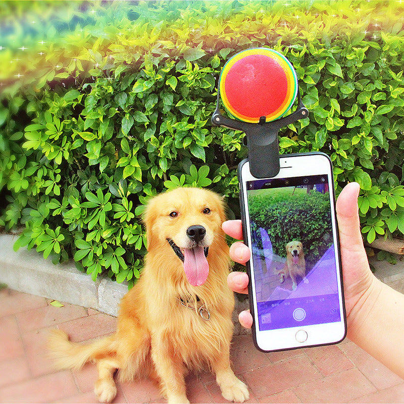 Pet Photo Props Toy Pet Photo Selfie Artifact Funny Dog Camera Phone Clip Tennis Selfie Clip