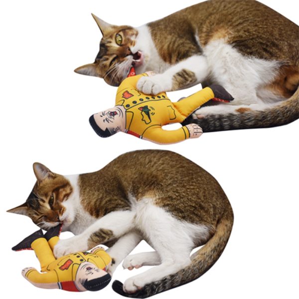 Bite-Resistant Vocal Canvas Dog Toy