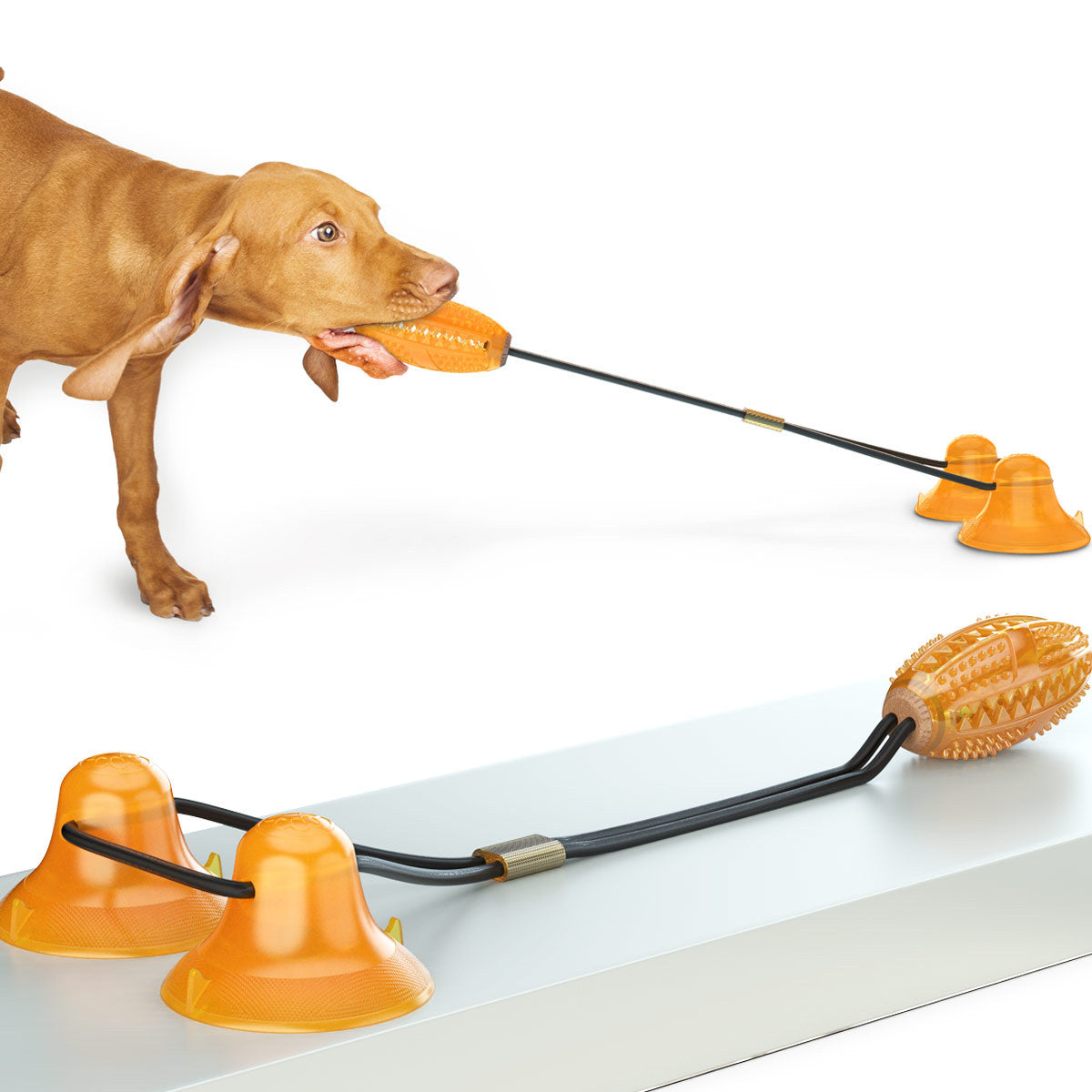 Double Tug Rope Ball Sucker Toy
